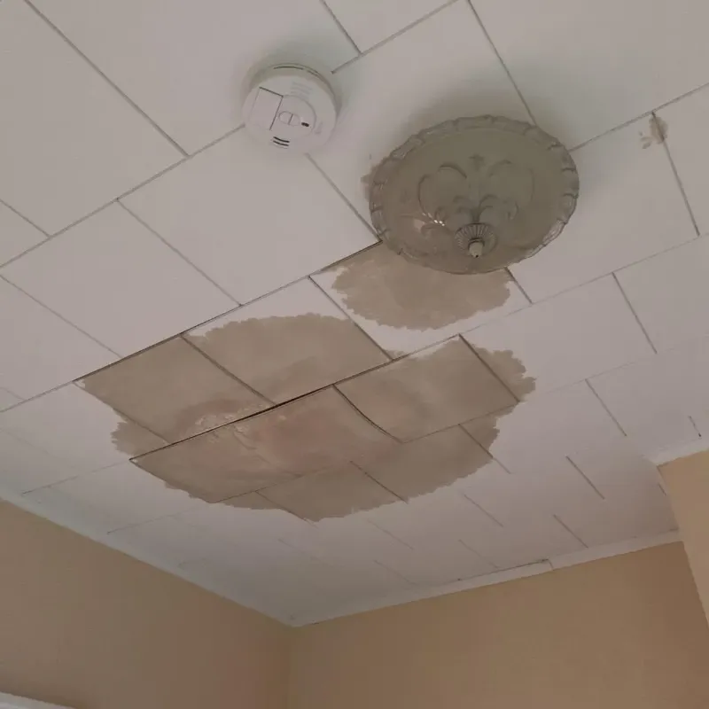 Ceiling Water Damage Repair in Kalona, IA