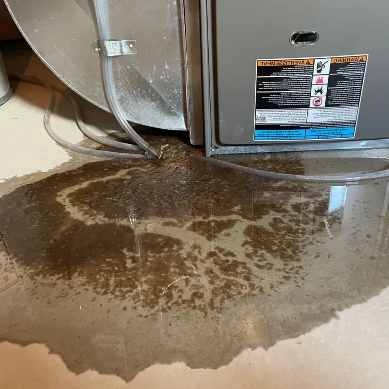 Pipe Burst and Leak Restoration in Kalona, IA