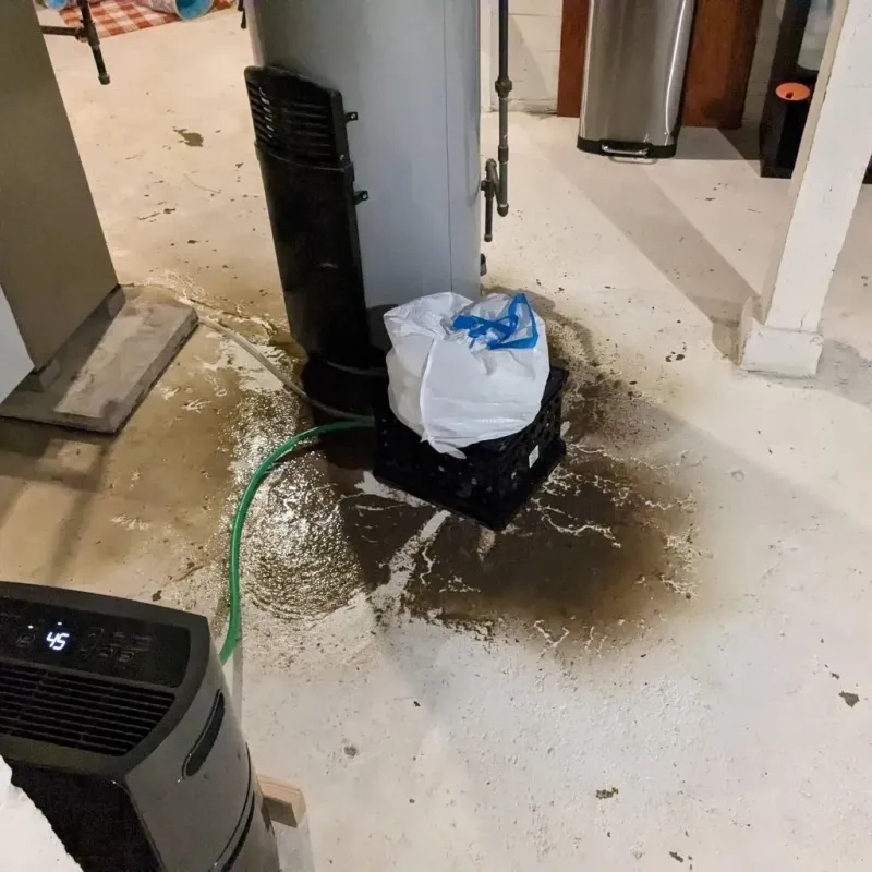 Sewage Backup Cleanup Service in Kalona, IA